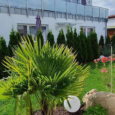 Ferienwohnungen "Godewind", Appartements Mit Balkon Oder Terrasse Цинновіц Екстер'єр фото