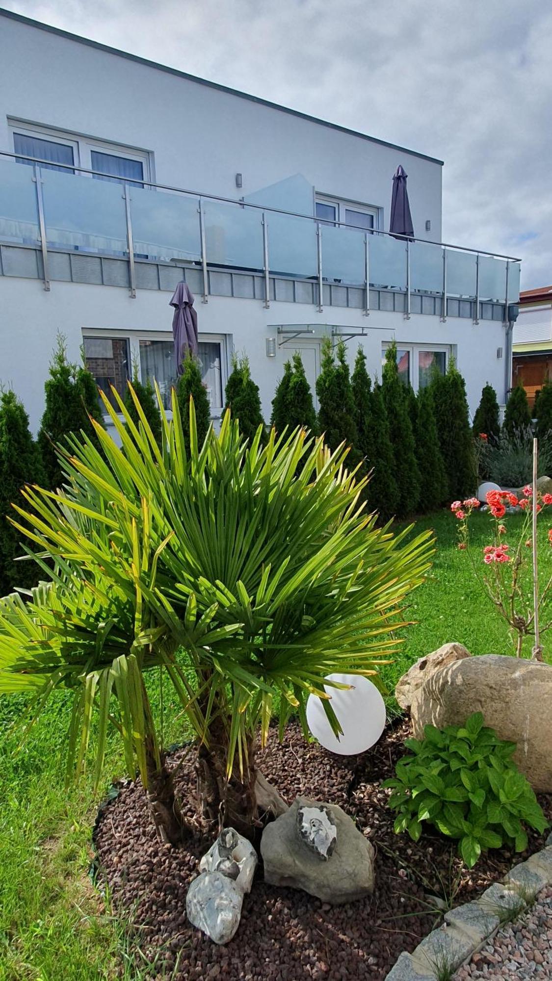 Ferienwohnungen "Godewind", Appartements Mit Balkon Oder Terrasse Цинновіц Екстер'єр фото